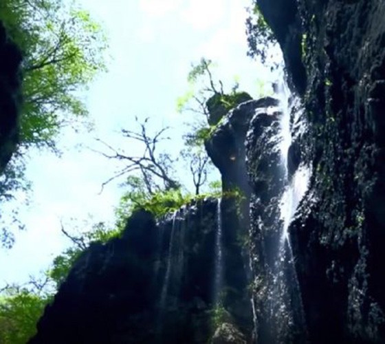 青山綠水，白龍江畔江畔息白鷺，兩岸綠橄欖入眼的都是純樸自然枝上花開(kāi)，春來(lái)水暖魚(yú)蝦戲水，鳥(niǎo)語(yǔ)花香心中充滿(mǎn)著舒暢之感祥宇生態(tài)產(chǎn)業(yè)園，位于隴南市武..